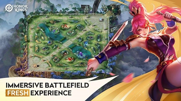 王者荣耀hok体验服官方正版(Honor of Kings-Beta)游戏截图4